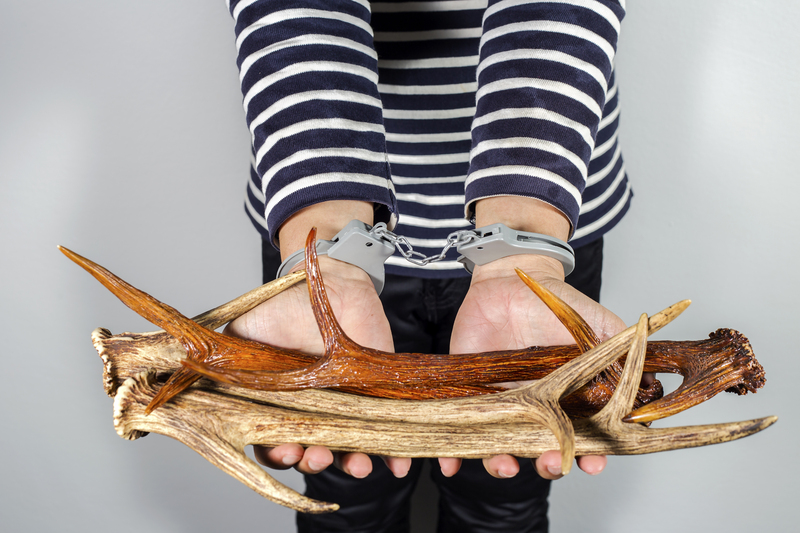 junk removal white goods